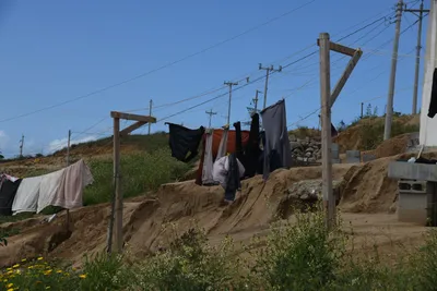 DSC_5148 (Large).JPG